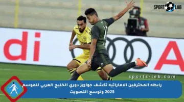 رابطة المحترفين الإماراتية تكشف جوائز دوري الخليج العربي للموسم 2025 وتوسع التصويت